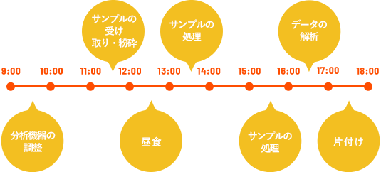 ある1日のスケジュール